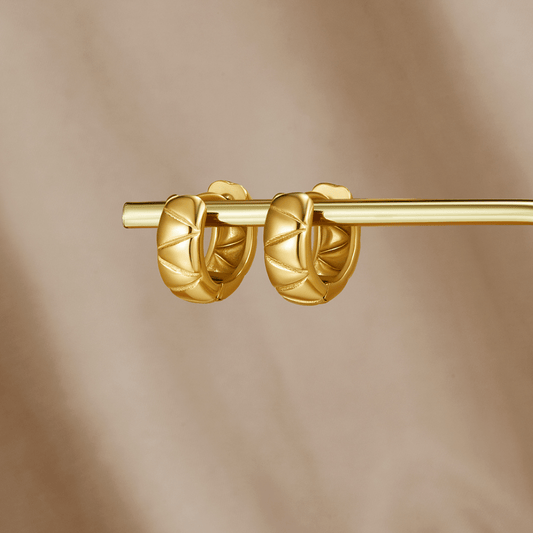 Brincos Argola Grossa Allison