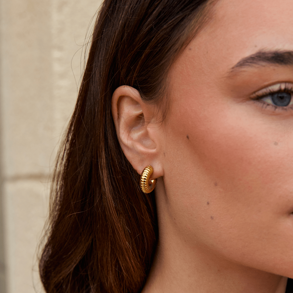 Brincos Lulu Argola Primavera